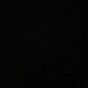 Meet your Posher, Thea